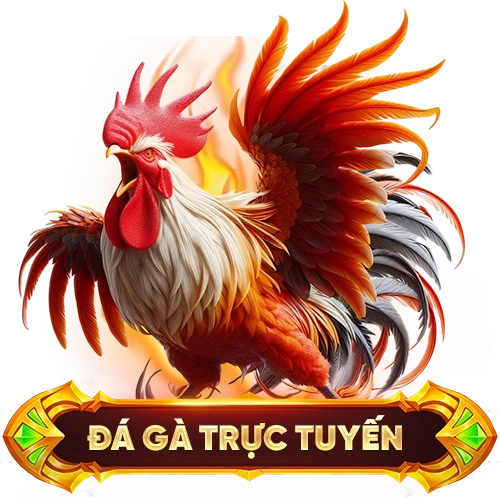 đá gà trực tuyến SHBET